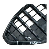 Ford Fiesta Front Bumper Grille 2021-2023 Genuine NX7B-8200-U